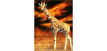 Diamond Painting 6037-40571 Giraffe 25 x 35 cm