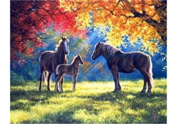 Diamond Painting 6037-40581 Pferde im Herbst 25 x 35 cm