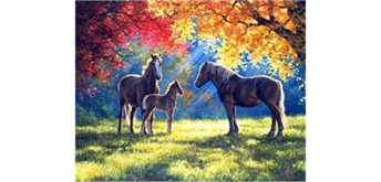 Diamond Painting 6037-40581 Pferde im Herbst 25 x 35 cm