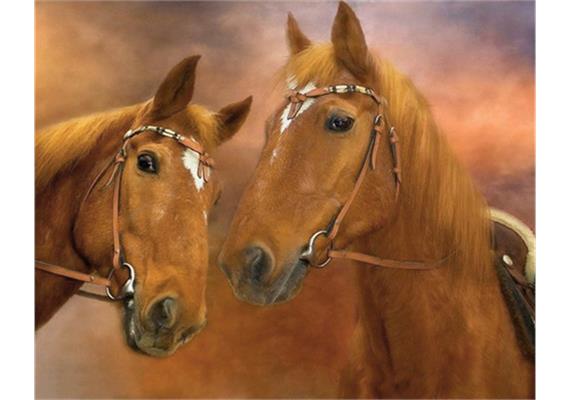 Diamond Painting 6037-40611 Zwei Pferde 25 x 35 cm