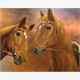 Diamond Painting 6037-40611 Zwei Pferde 25 x 35 cm