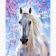 Diamond Painting 6037-40661 Schimmel 25 x 35 cm
