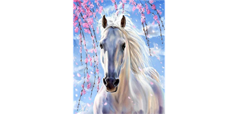 Diamond Painting 6037-40661 Schimmel 25 x 35 cm