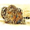 Diamond Painting 6037-40741 Leopard 25 x 35 cm
