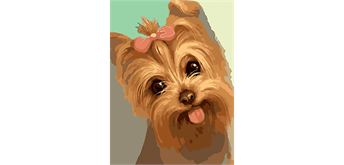 Diamond Painting 6037-40751 Yorkshire Terrier 25 x 35 cm