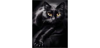 Diamond Painting 6037-40801 Schwarze Katze 25 x 35 cm