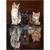 Diamond Painting 6037-40831 Drei Katzen 25 x 35 cm