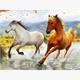 Diamond Painting 6037-40841 Pferde im Galopp 25 x 35 cm