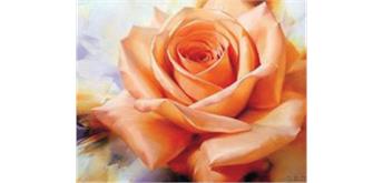 Diamond Painting 6037-50011 Orangene Rose 50 x 40 cm