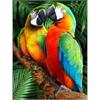 Diamond Painting 6037-50121 Bunte Papageien 33 x 44 cm