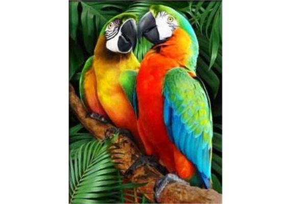 Diamond Painting 6037-50121 Bunte Papageien 33 x 44 cm