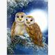 Diamond Painting 6037-50221 Eulen 33 x 44 cm
