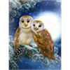 Diamond Painting 6037-50221 Eulen 33 x 44 cm