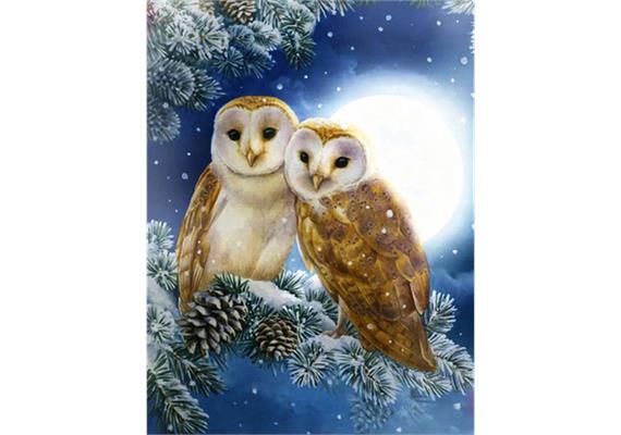 Diamond Painting 6037-50221 Eulen 33 x 44 cm