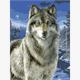Diamond Painting 6037-50231 Wolf 33 x 44 cm