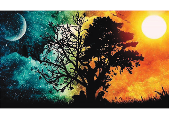 Diamond Painting Baum bei Nacht 50 x 40 cm