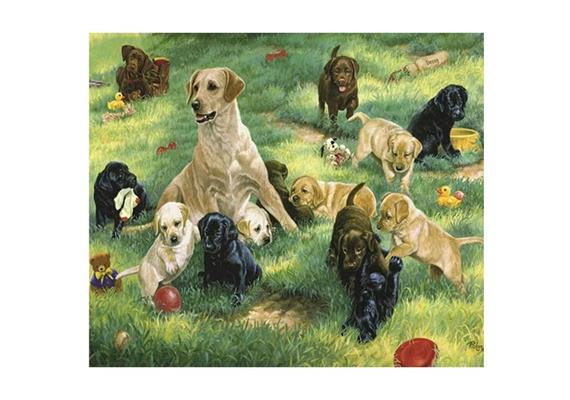 Diamond Painting Dogs in a Meadow 35 x 45 cm, runde Steine