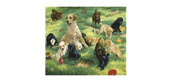 Diamond Painting Dogs in a Meadow 35 x 45 cm, runde Steine