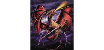 Diamond Painting Drache 40 x 50 cm