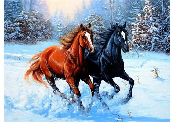 Diamond Painting Gallop 40 x 50 cm, runde Steine