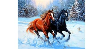 Diamond Painting Gallop 40 x 50 cm, runde Steine