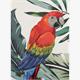 Diamond Painting Grusskarte Papagei 18 x 13 cm
