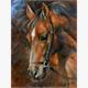 Diamond Painting Pferd 40 x 30 cm