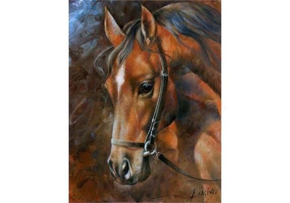 Diamond Painting Pferd 40 x 30 cm