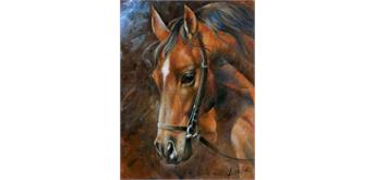 Diamond Painting Pferd 40 x 30 cm