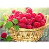 Diamond Painting Raspberries 40 x 50 cm, runde Steine