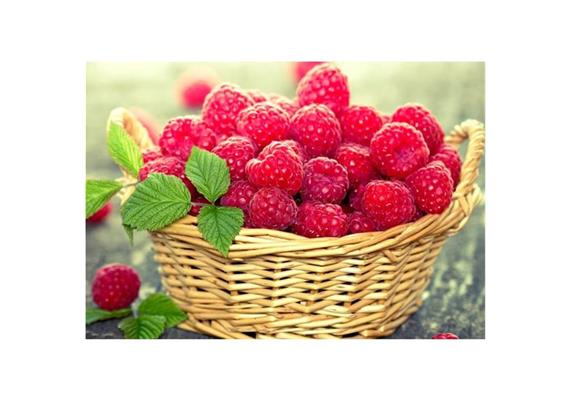 Diamond Painting Raspberries 40 x 50 cm, runde Steine