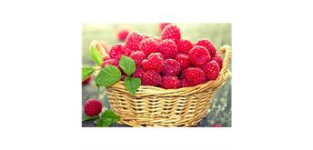 Diamond Painting Raspberries 40 x 50 cm, runde Steine