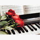 Diamond Painting Rosen auf Klavier 40 x 30 cm