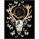 Diamond Painting Set CDP010 Deer Skull 50 x 40 cm