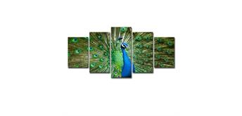 Diamond Painting Set CF054 - 5 Bilder - Peacock