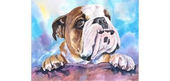 Diamond Painting Set DP2262920 Dog 50 x 40 cm