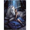 Diamond Painting Set DP22802103 Unicorn 40 x 30 cm