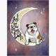 Diamond Painting Set DP2280262 Moon Dog 50 x 40 cm