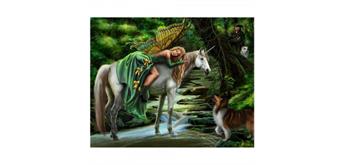 Diamond Painting Set DP2280271 Unicorn 40 x 30 cm