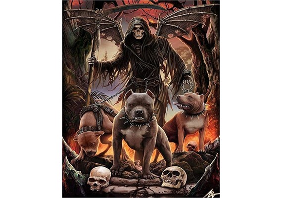 Diamond Painting Set DP23322008 Reaper 35 x 45 cm