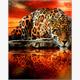 Diamond Painting Set DP23322027 Leopard 50 x 40 cm