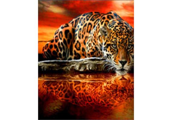 Diamond Painting Set DP23322027 Leopard 50 x 40 cm