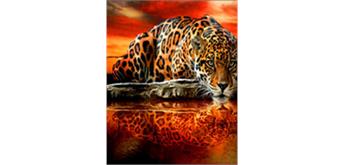 Diamond Painting Set DP23322027 Leopard 50 x 40 cm