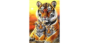 Diamond Painting Set DP254072 Tiger 15 x 25 cm
