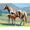 Diamond Painting Set DP2545009 Horses 15 x 25 cm