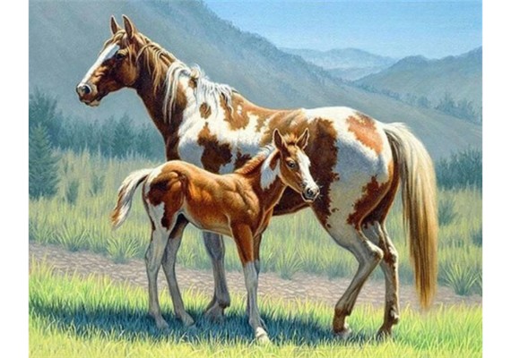 Diamond Painting Set DP2545009 Horses 15 x 25 cm