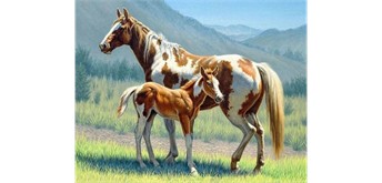 Diamond Painting Set DP2545009 Horses 15 x 25 cm