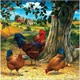 Diamond Painting Set DP2545020 Chickens 25 x 35 cm