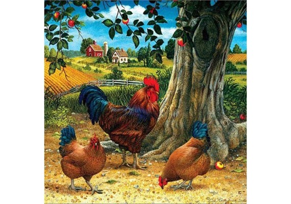 Diamond Painting Set DP2545020 Chickens 25 x 35 cm
