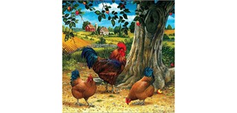 Diamond Painting Set DP2545020 Chickens 25 x 35 cm